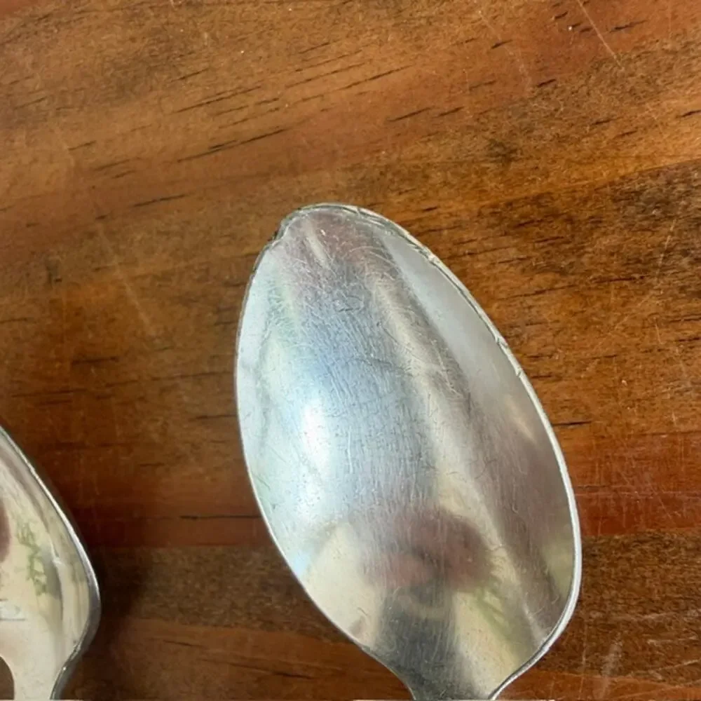 Oneida Community Silverplated Birds of Paradise 1923 Set of 11 Teaspoons